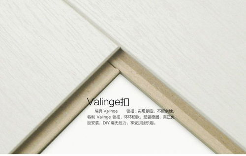 强化地板选购指南 河南晨曦装饰材料澳洲白橡木地板解析