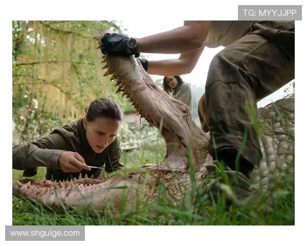 《湮灭》：10个关于“存在”的终极拷问，你看懂了多少？