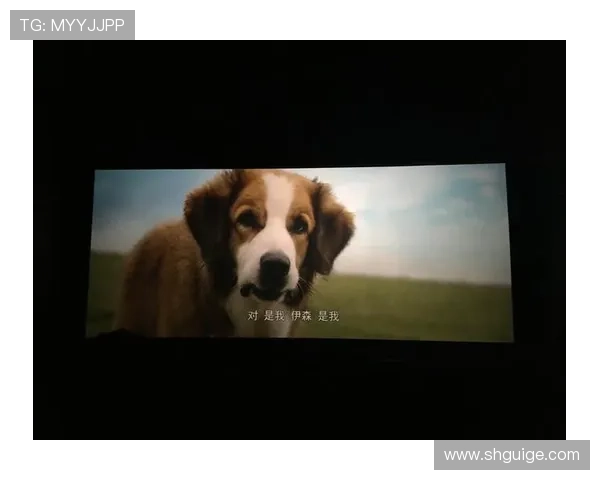 我们的天堂：在爱的指引下追寻幸福与救赎的故事