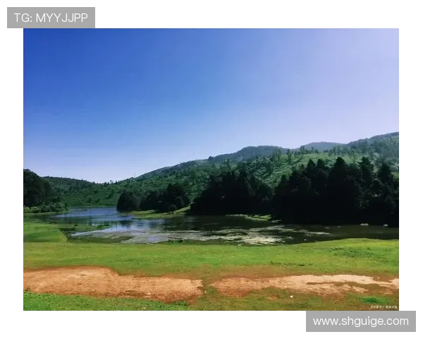 如未相见：那些错过的风景，藏着未知的惊喜