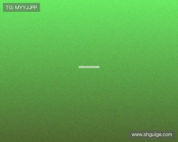 武当少年：山水之间，剑胆琴心